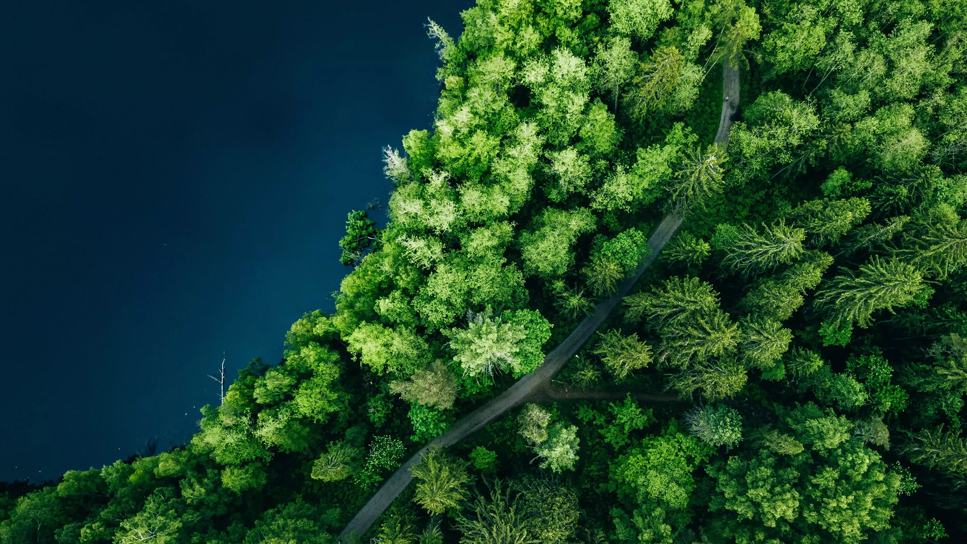 Optimol environmental